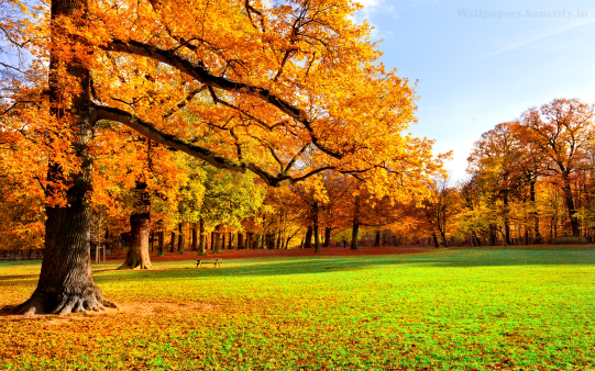Autumn Scenery HD Wallpaper