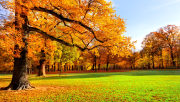 Autumn Scenery HD Wallpap…