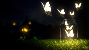 Glowing Butterflies HD Wa…